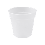 green basics orchid 17cm transparent